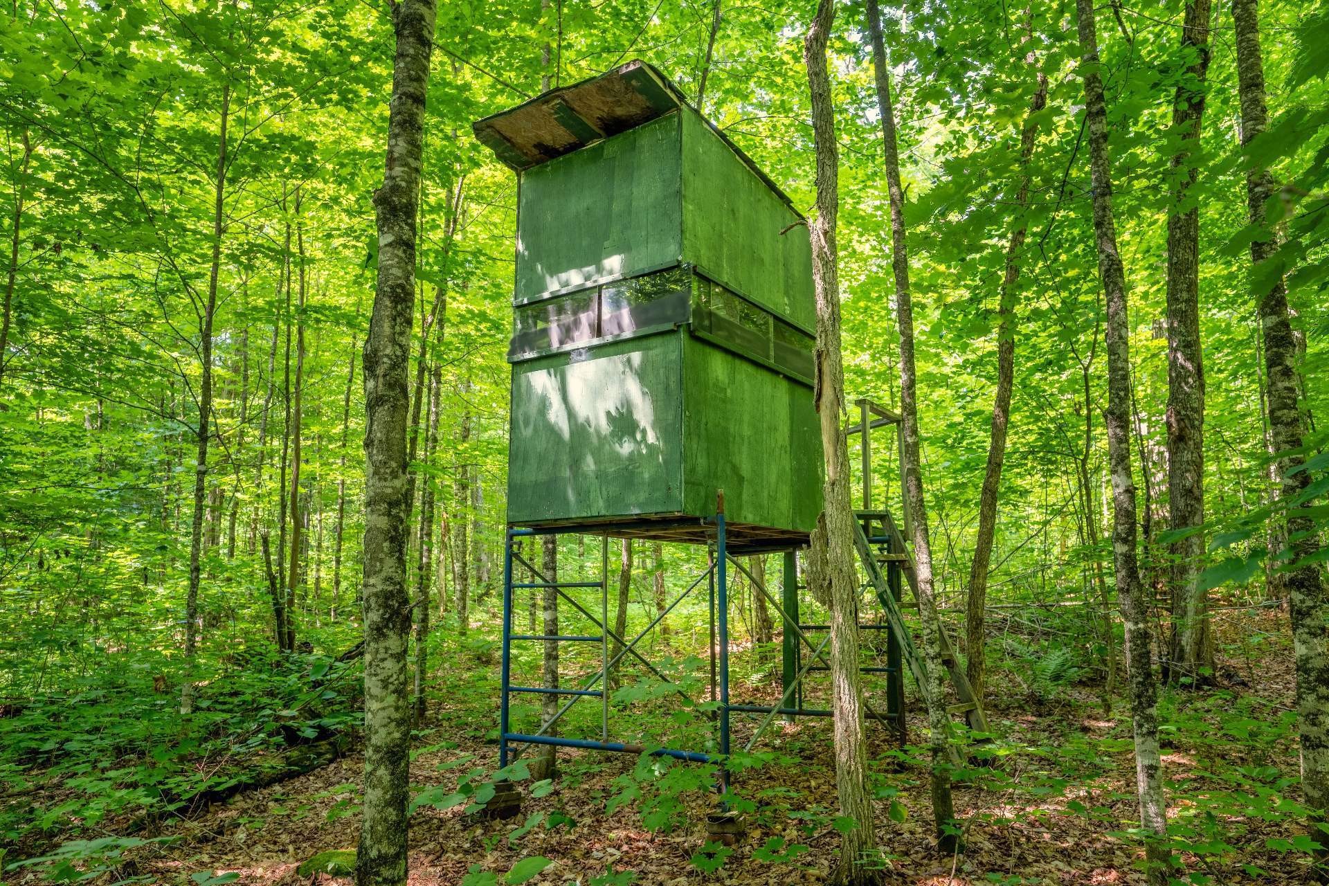 












Ch. des Quatre-Fourches

,
Lac-des-Écorces,







QC
J0W1H0

