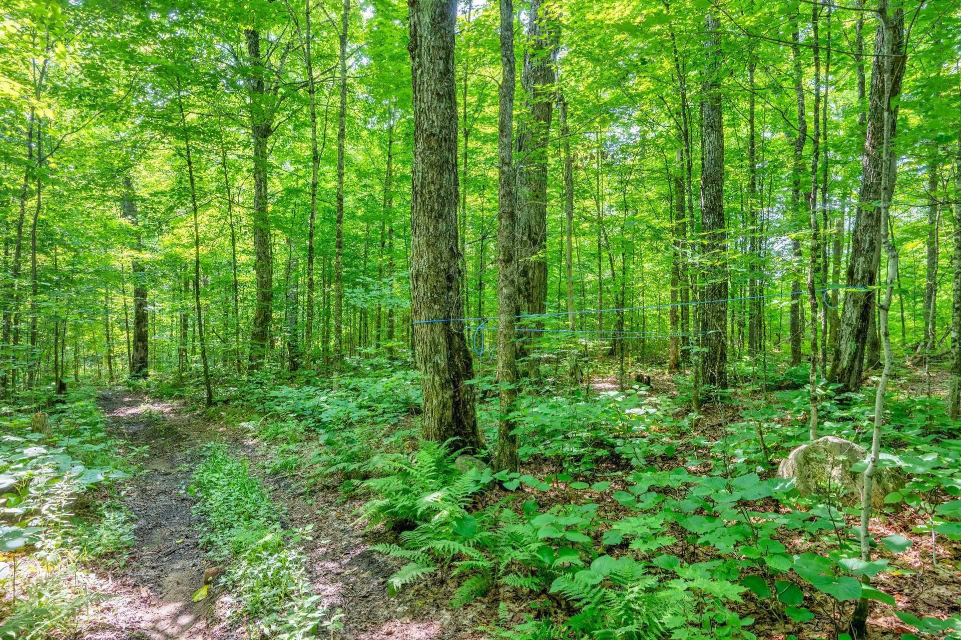 












Ch. des Quatre-Fourches

,
Lac-des-Écorces,







QC
J0W1H0

