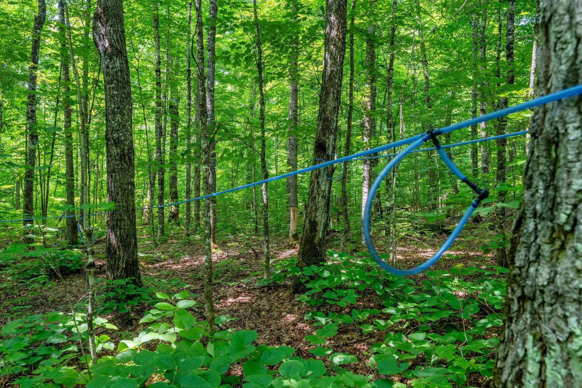 












Ch. des Quatre-Fourches

,
Lac-des-Écorces,







QC
J0W1H0

