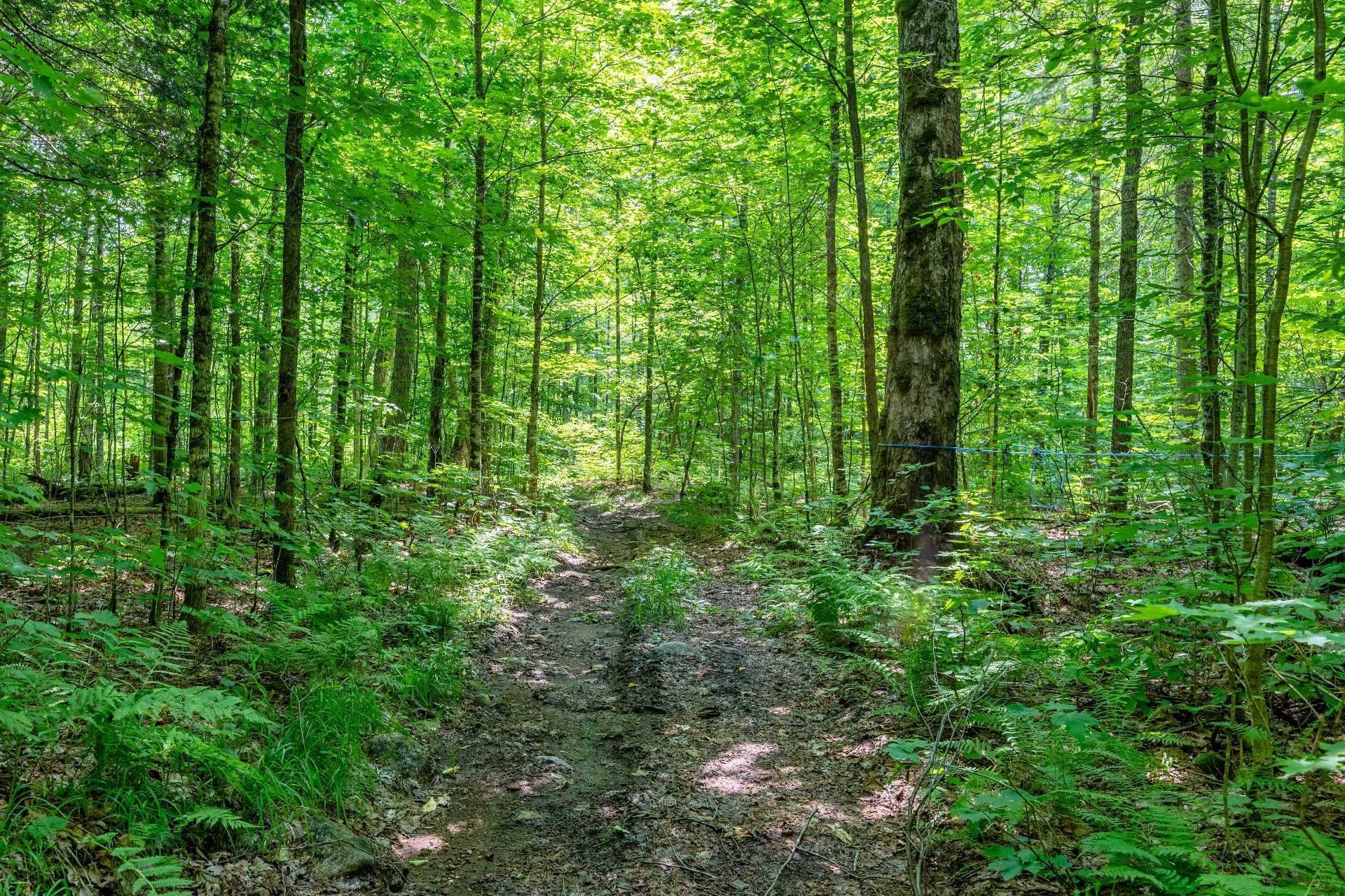 












Ch. des Quatre-Fourches

,
Lac-des-Écorces,







QC
J0W1H0

