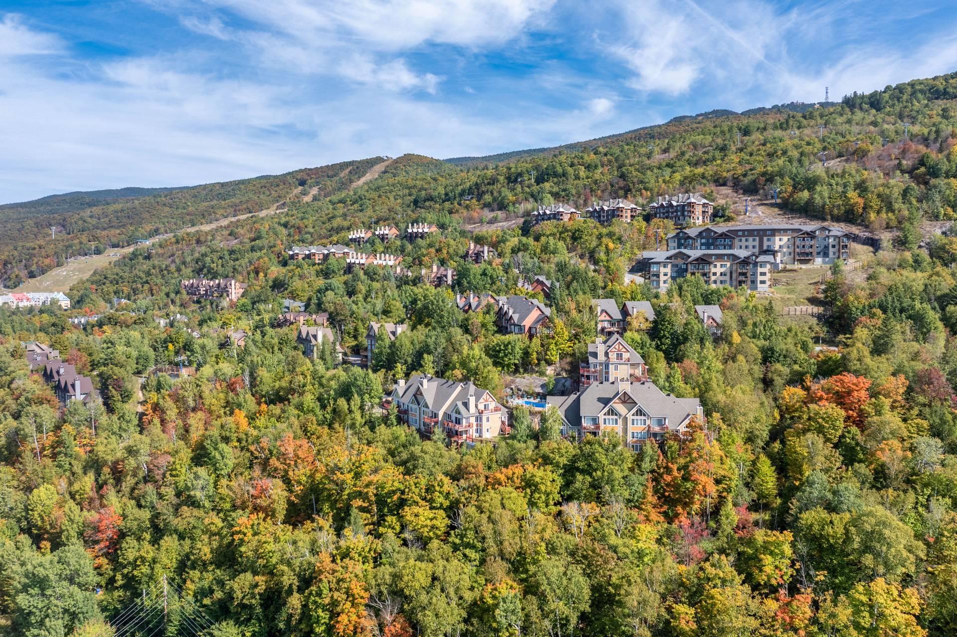 









197


Ch. de la Forêt

, 9,
Mont-Tremblant,




QC
J8E3K8

