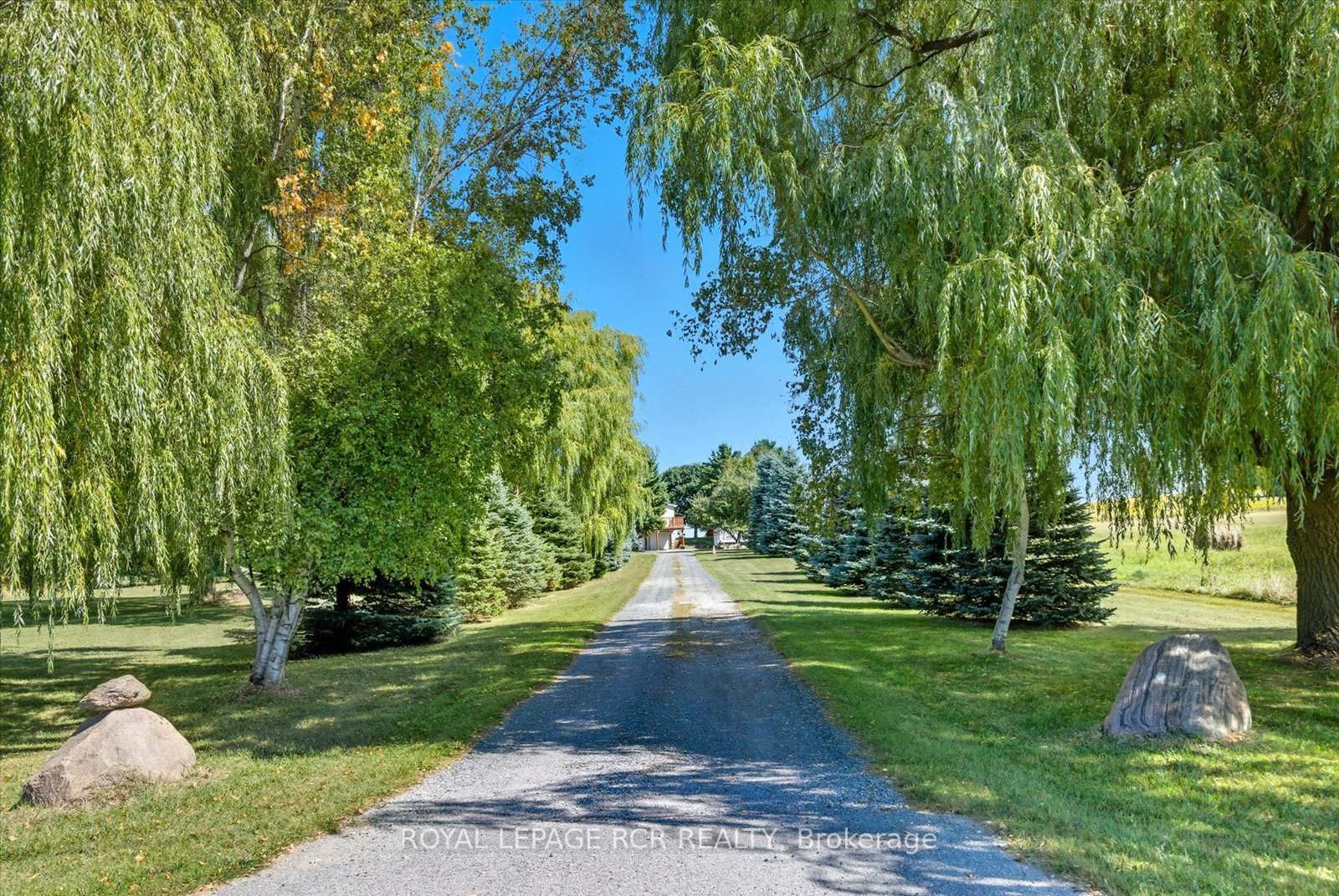 









1637


15

Side Road,
New Tecumseth,




ON
L0G 1W0

