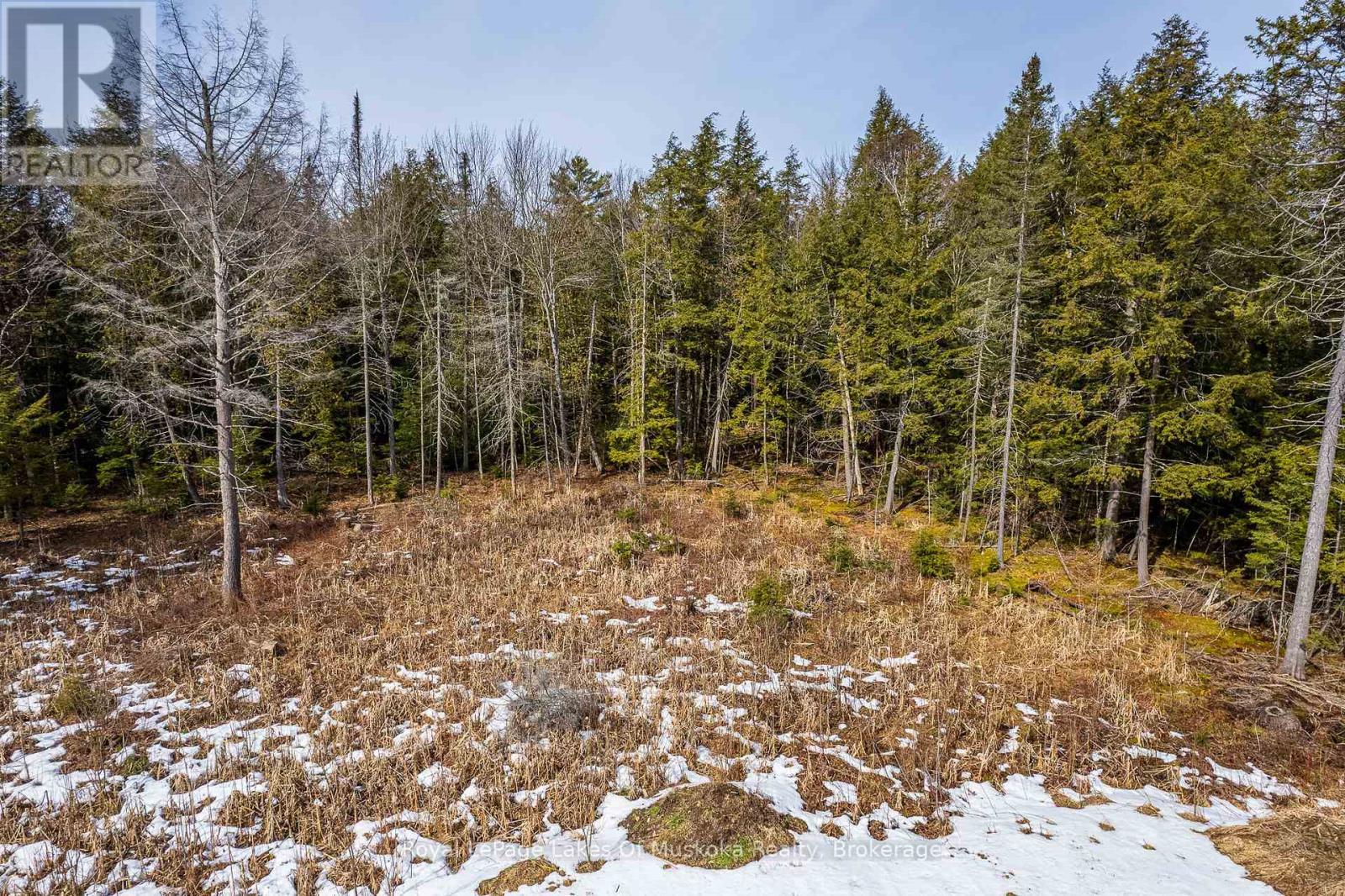 












PART LOT 4

,
Muskoka Lakes (Watt),







Ontario
P0B1M0

