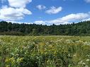 Land/Lot