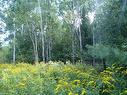 Land/Lot