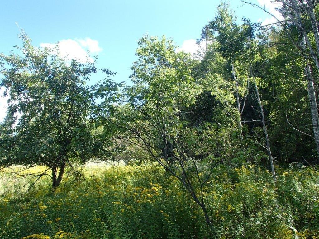 









447


Ch. Clark

,
La Pêche,







QC
J0X3G0

