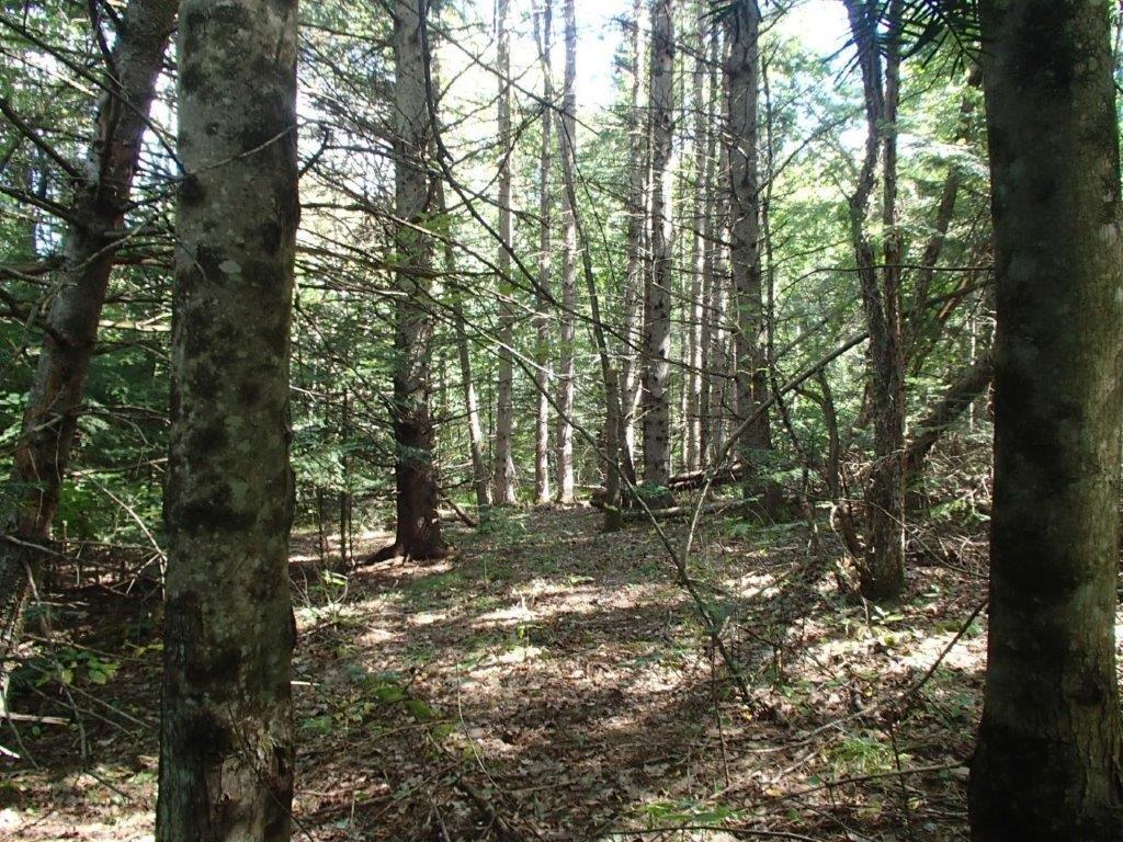 









447


Ch. Clark

,
La Pêche,







QC
J0X3G0

