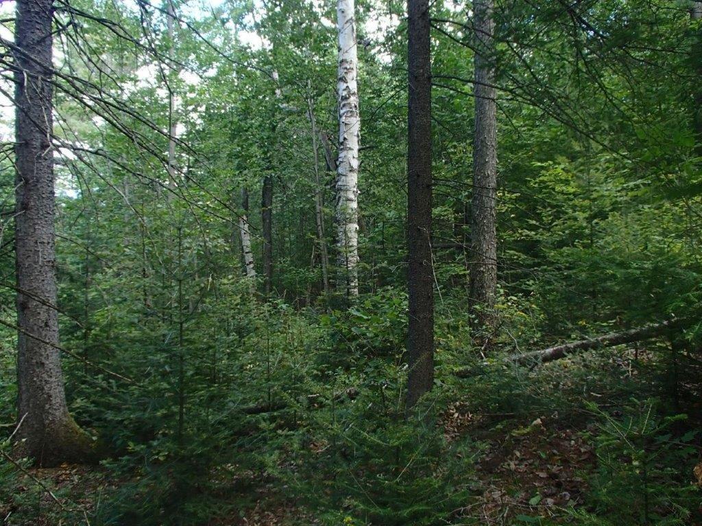 









447


Ch. Clark

,
La Pêche,







QC
J0X3G0

