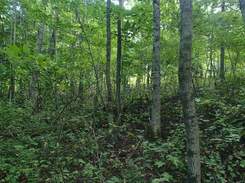 









447


Ch. Clark

,
La Pêche,







QC
J0X3G0

