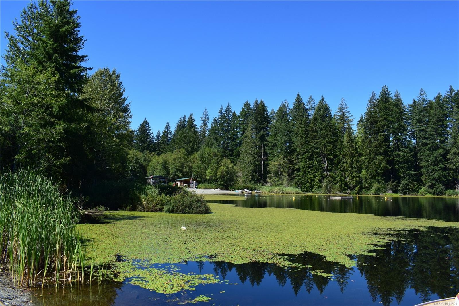









8631


South Shore

Rd, 30,
Lake Cowichan,







BC
V0R 2G0

