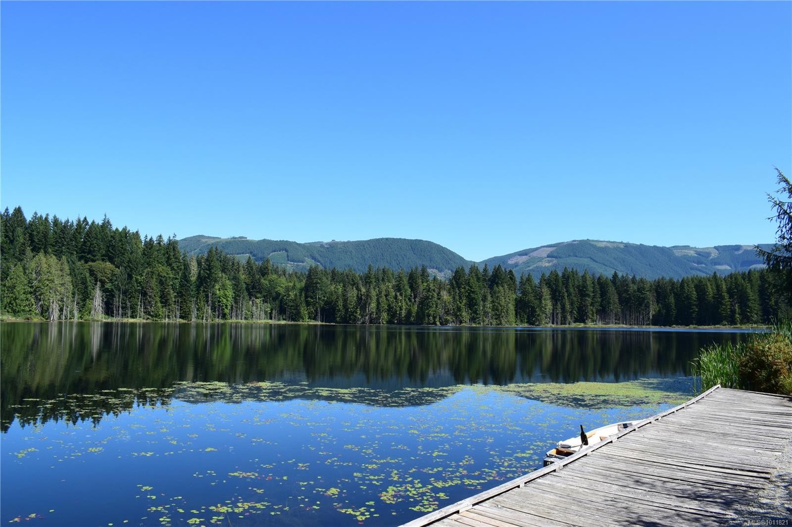 









8631


South Shore

Rd, 30,
Lake Cowichan,







BC
V0R 2G0

