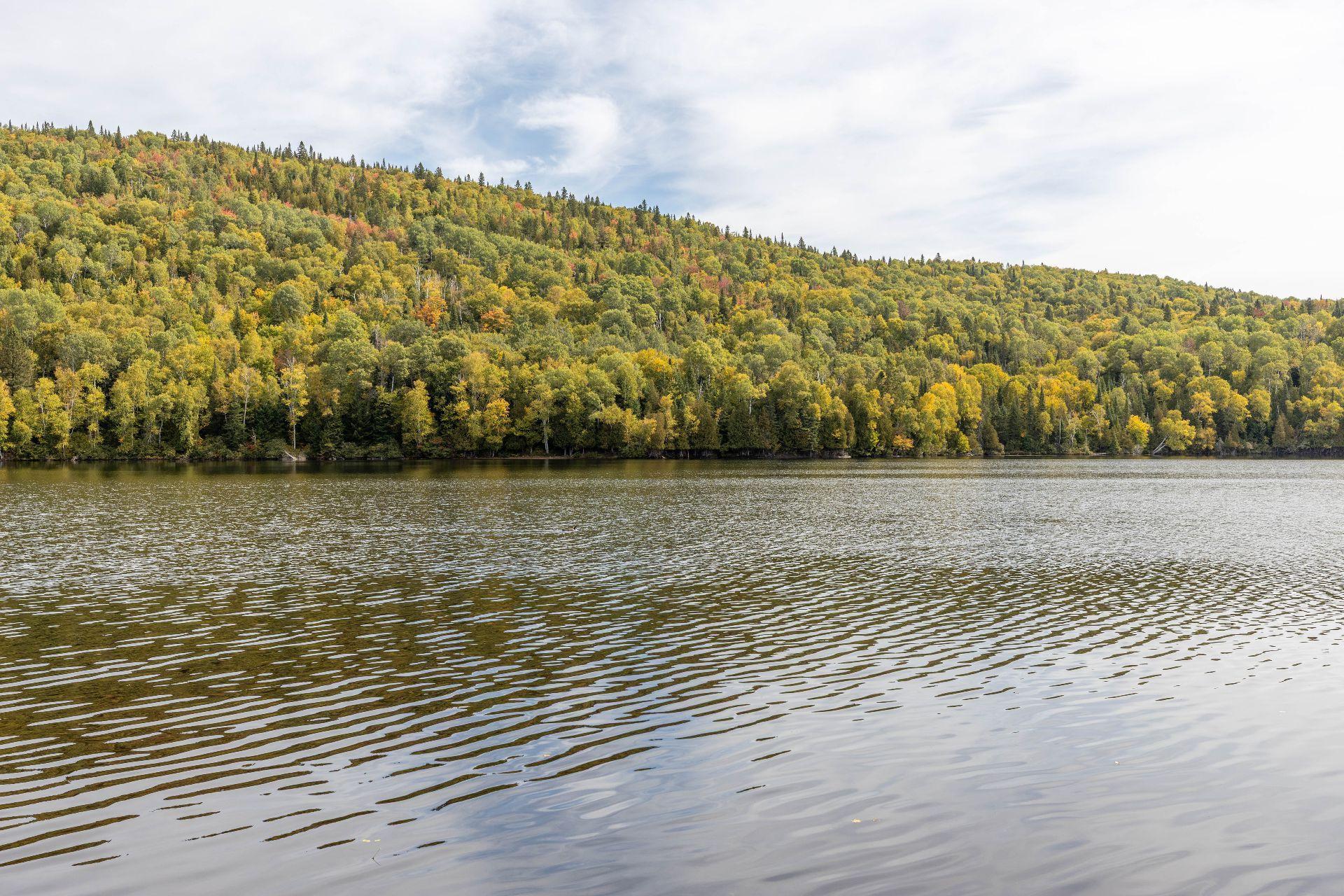 









6030


Rue Arthur

,
Saint-Zénon,




QC
J0K3N0

