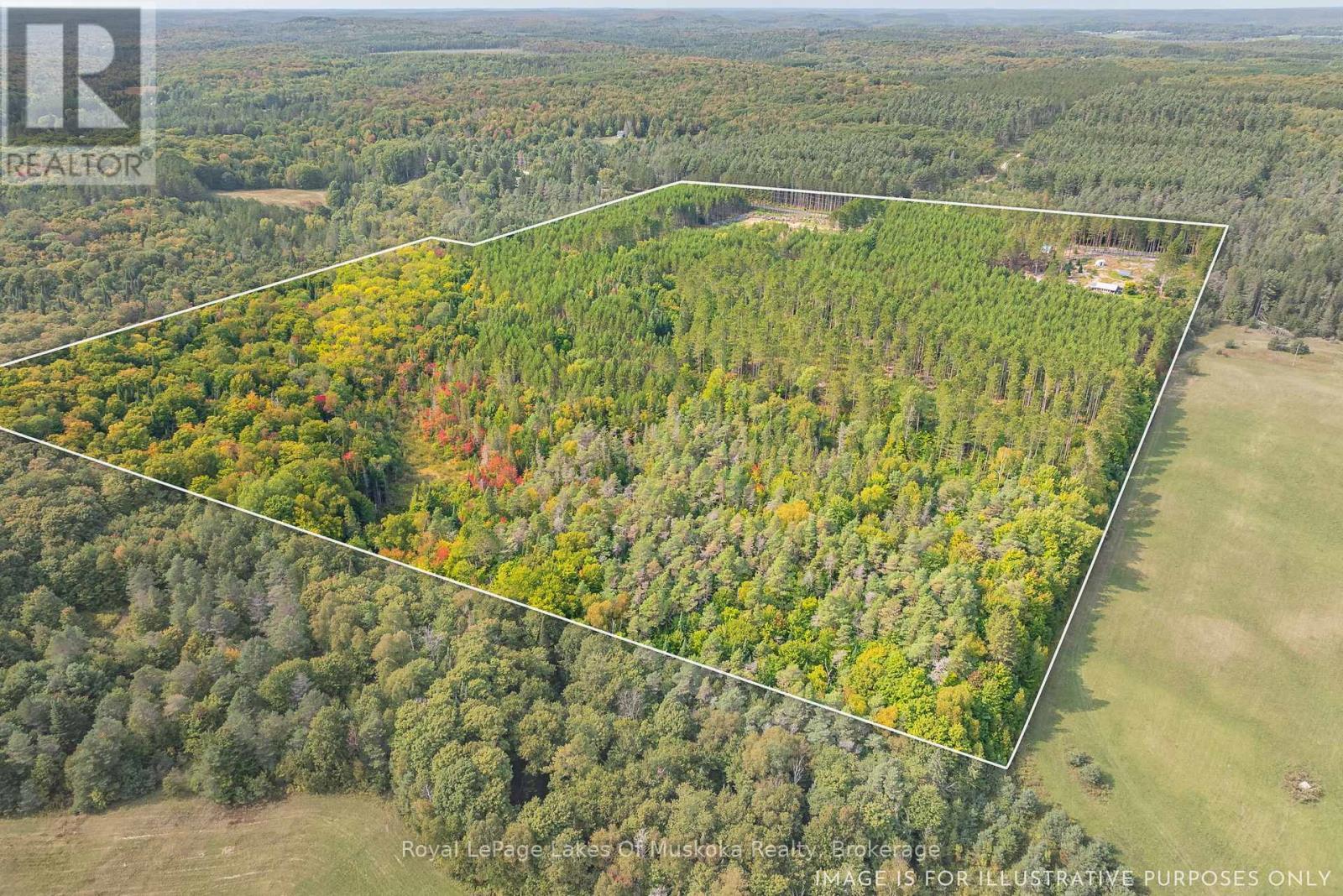 












165 JAMES CAMP ROAD

,
Ryerson,




Ontario
P0A1C0

