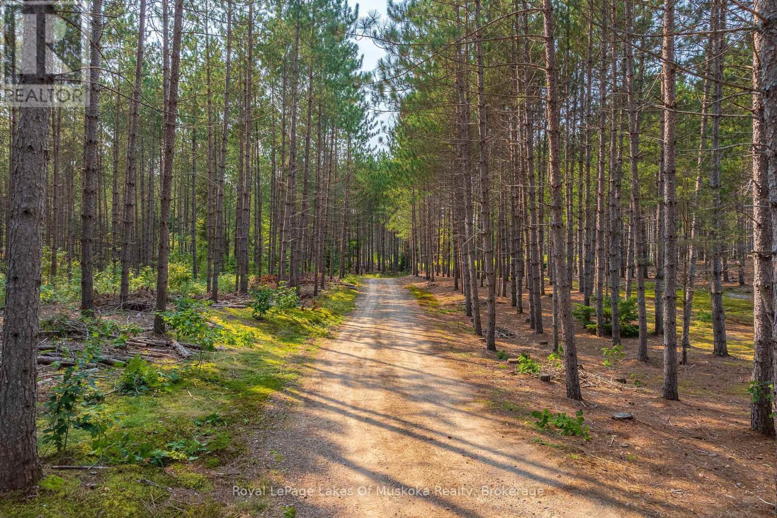 












165 JAMES CAMP ROAD

,
Ryerson,




Ontario
P0A1C0

