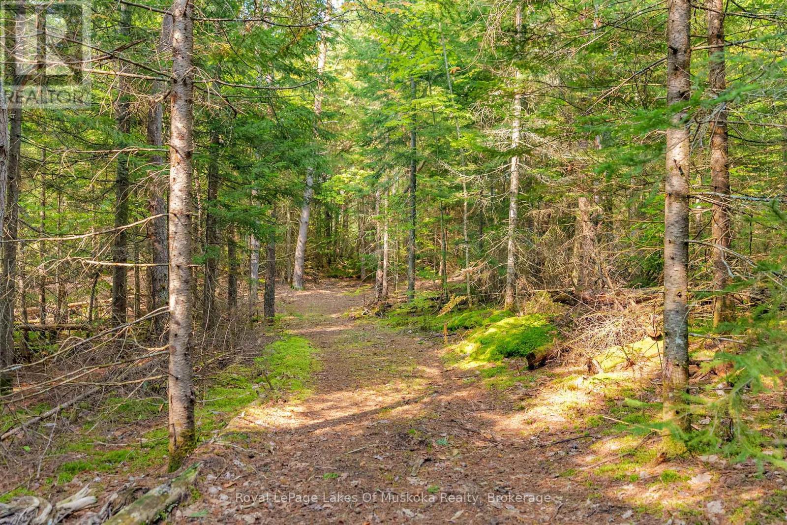 












165 JAMES CAMP ROAD

,
Ryerson,




Ontario
P0A1C0

