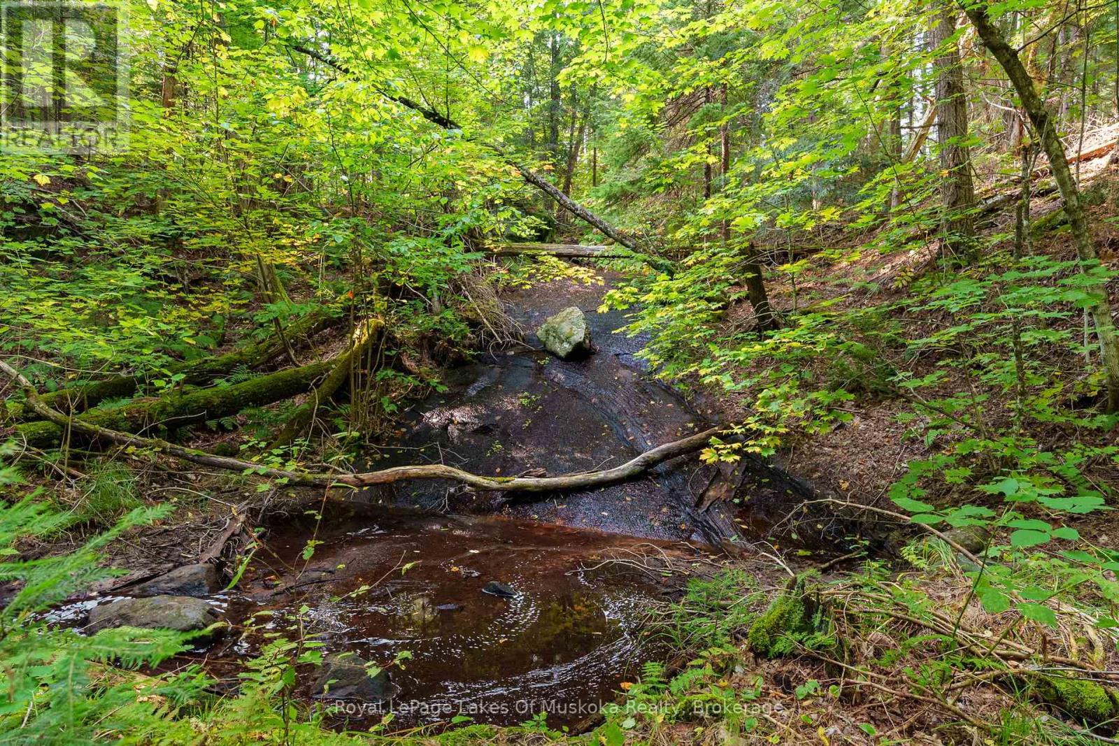 












165 JAMES CAMP ROAD

,
Ryerson,




Ontario
P0A1C0

