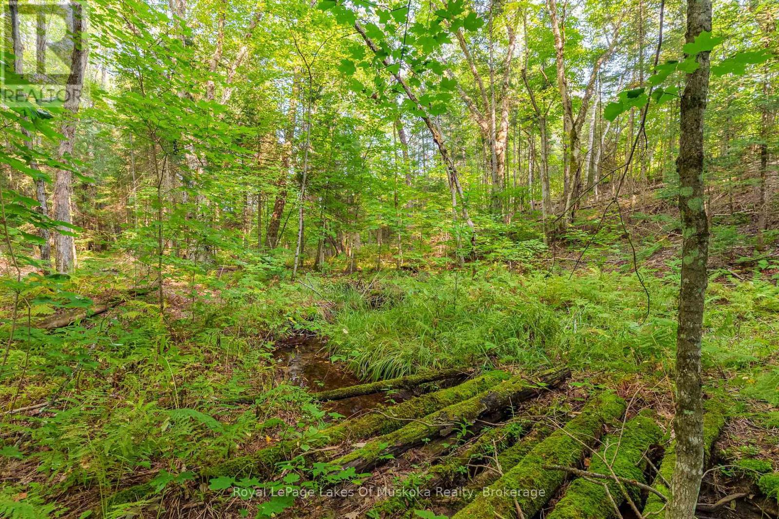 












165 JAMES CAMP ROAD

,
Ryerson,




Ontario
P0A1C0

