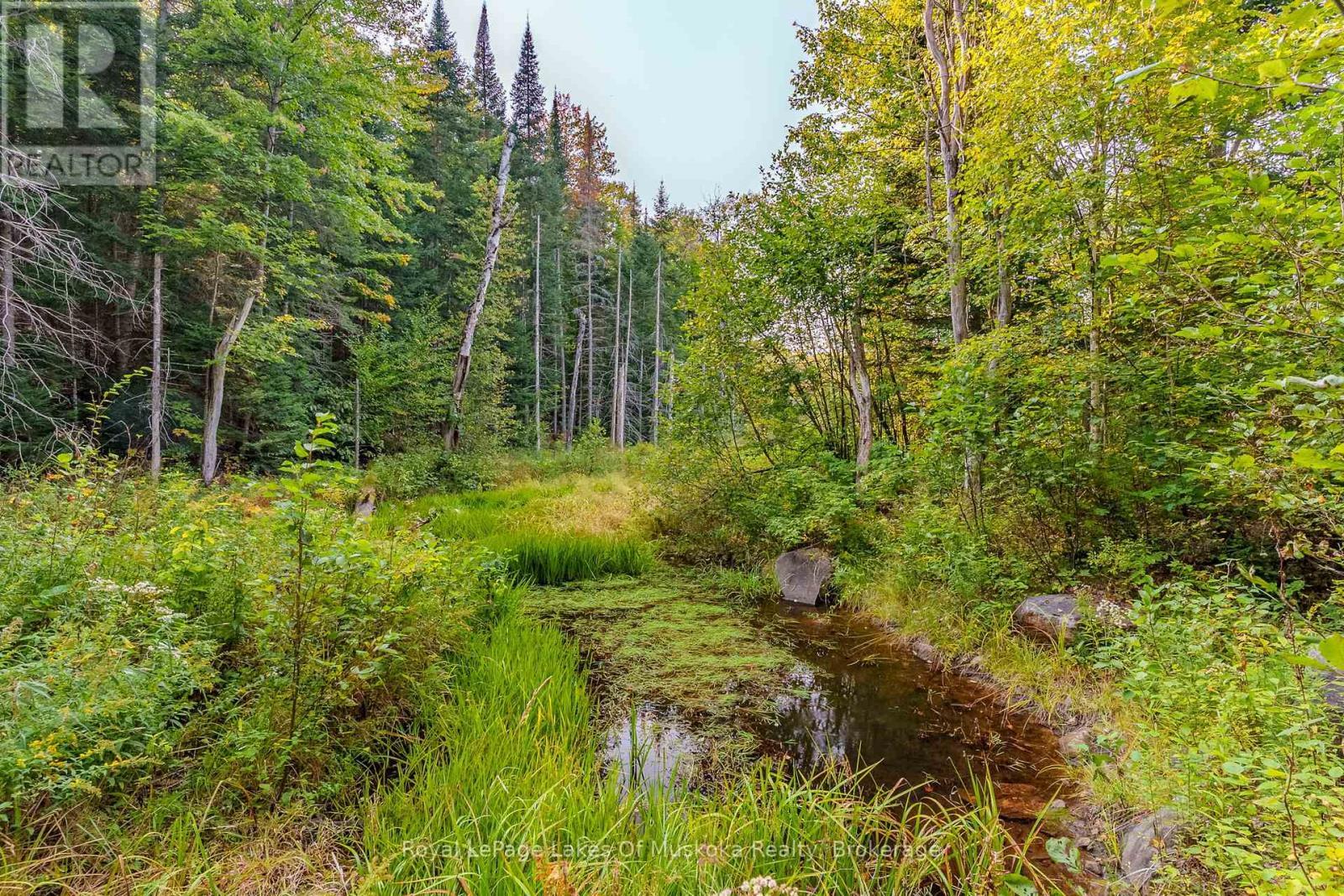 












165 JAMES CAMP ROAD

,
Ryerson,




Ontario
P0A1C0

