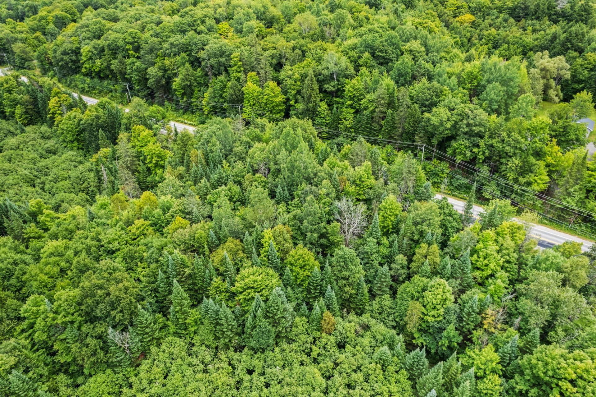 









645


Route Principale

,
Val-des-Monts,







QC
J8N4E3

