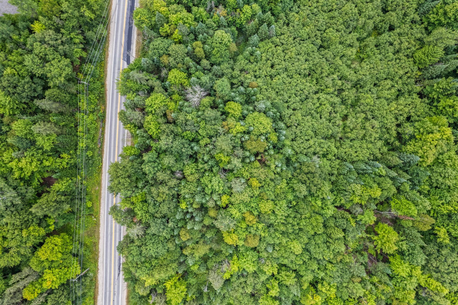 









645


Route Principale

,
Val-des-Monts,







QC
J8N4E3

