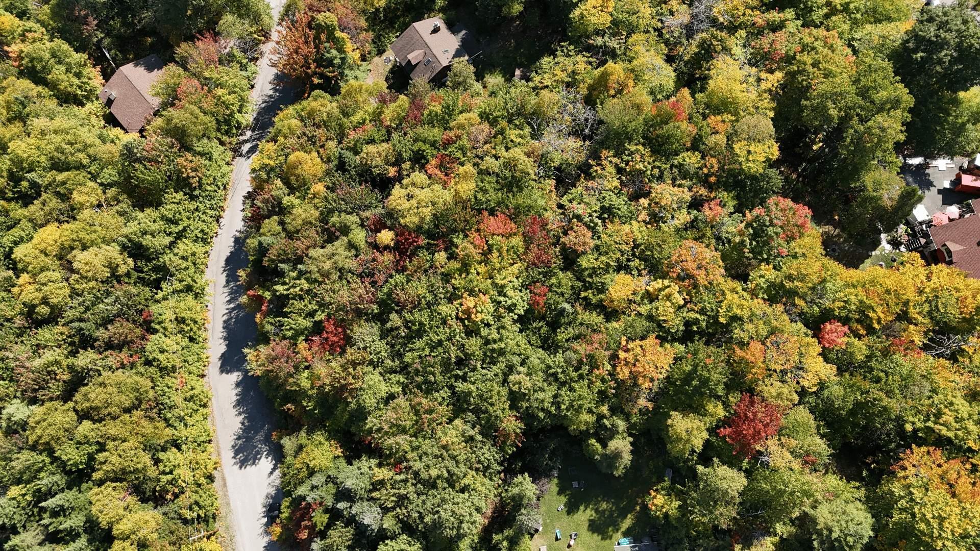 












Rue du Beau-Vallon

,
Val-Morin,







QC
J0T2R0

