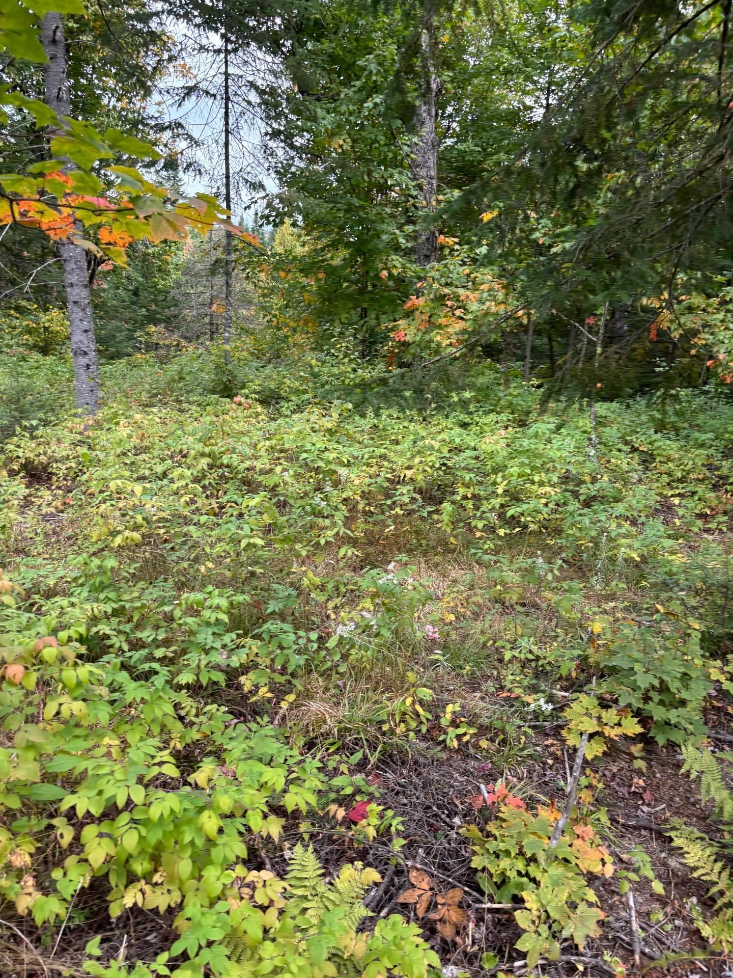 









193


Ch. Tawachiche E.

,
Lac-aux-Sables,




QC
G0X1M0

