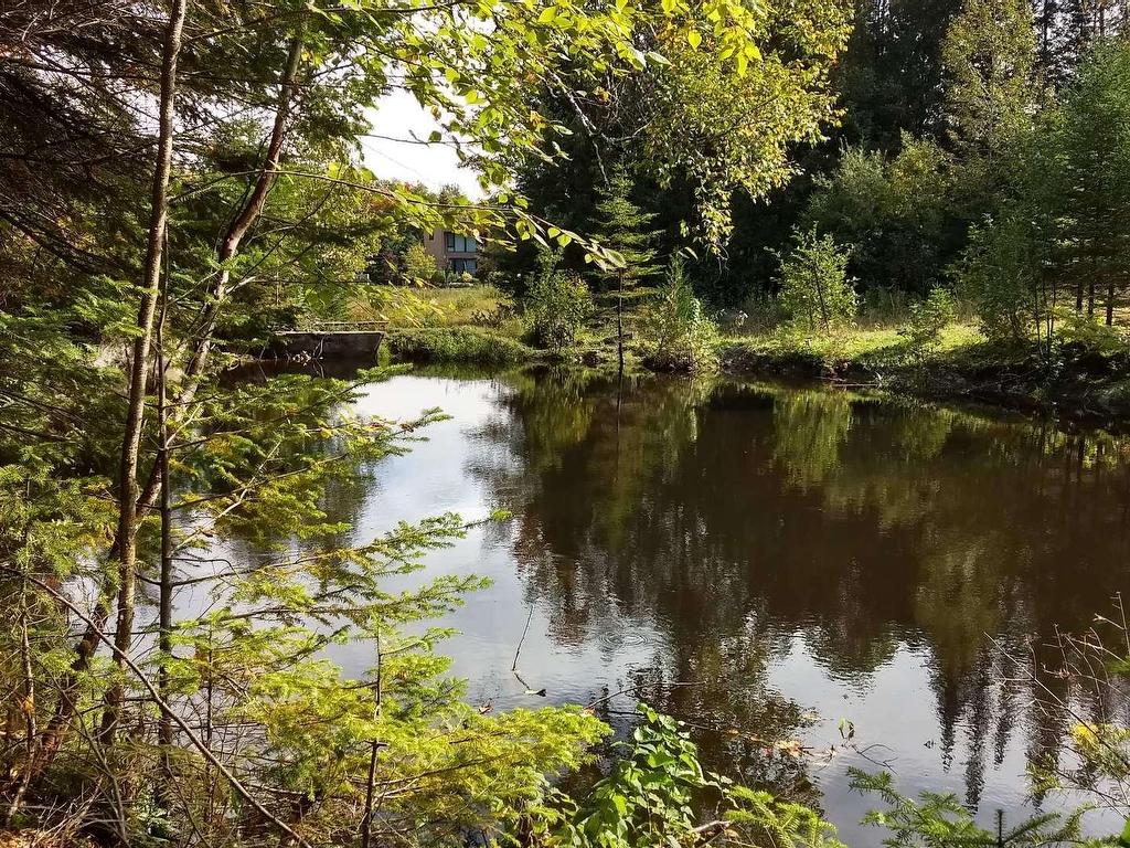 









1095


2e Avenue

,
Val-Morin,




QC
J0T2R0

