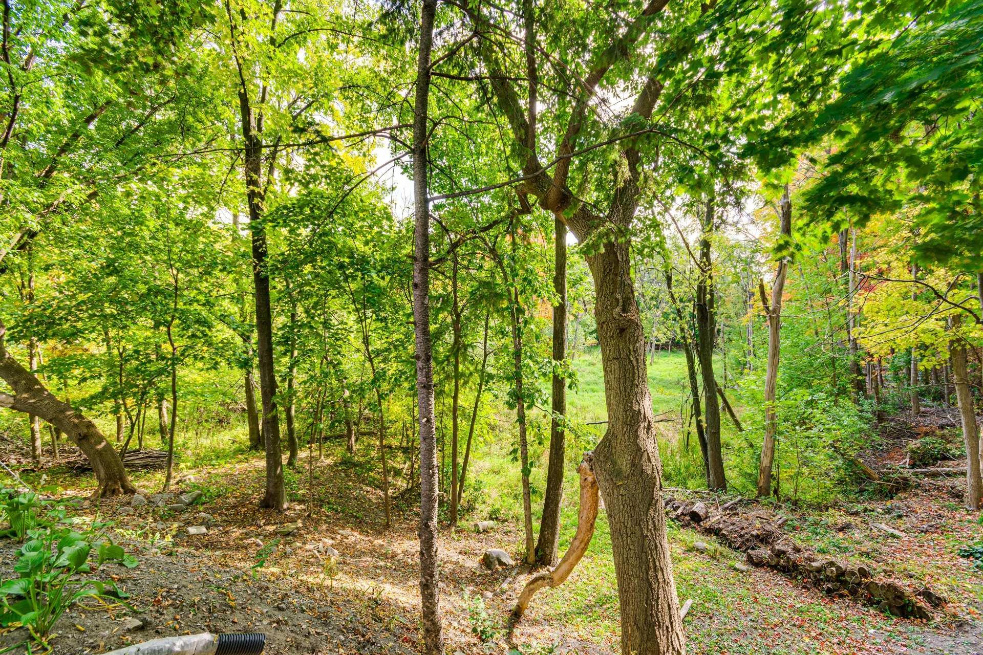 









424


Rue des Géraniums

,
Gatineau (Gatineau),




QC
J8P3R1

