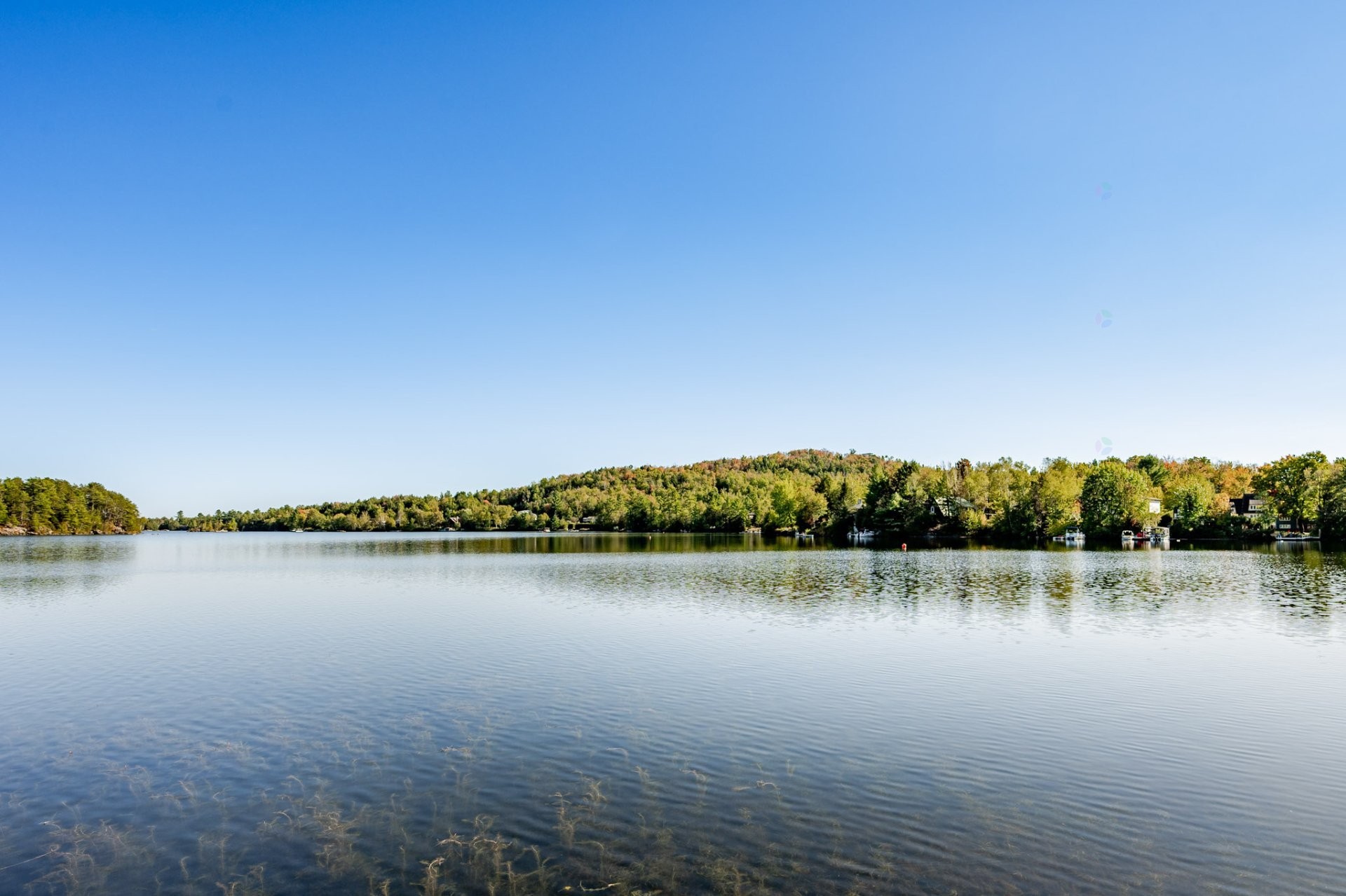 









80


Rue des Pivoines

,
Saint-Denis-de-Brompton,




QC
J0B2P0

