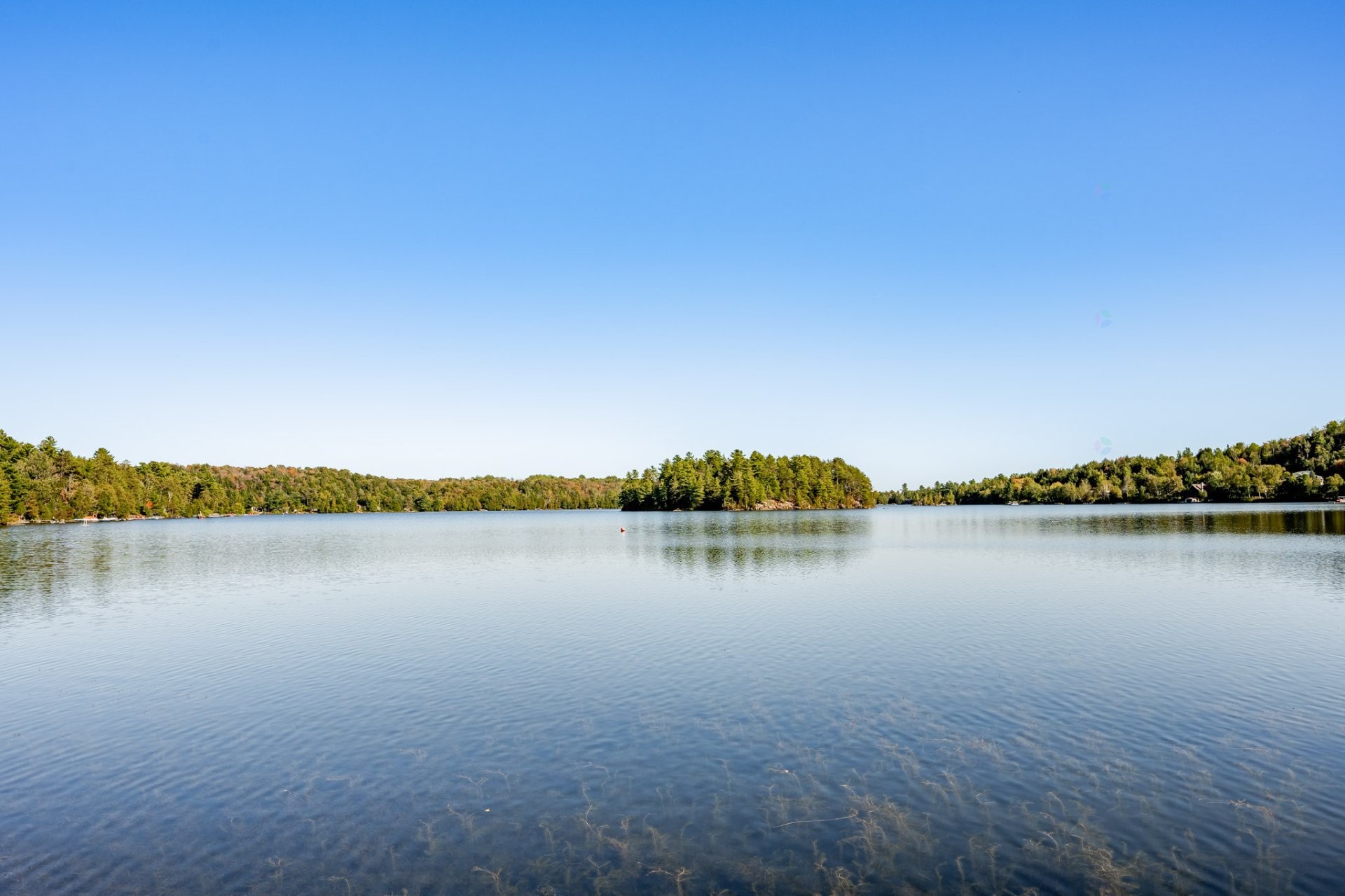 









80


Rue des Pivoines

,
Saint-Denis-de-Brompton,




QC
J0B2P0

