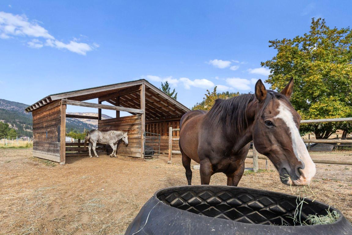 









602


Johnson

Crescent,
Oliver,




BC
V0H 1T5

