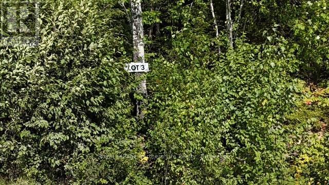 












LOT 3 FOX RUN DRIVE

,
Temagami,







Ontario
P0H2H0

