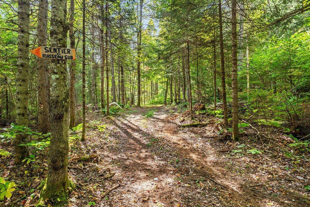 









37


Ch. Stephenson

,
Gore,




QC
J8H3W8

