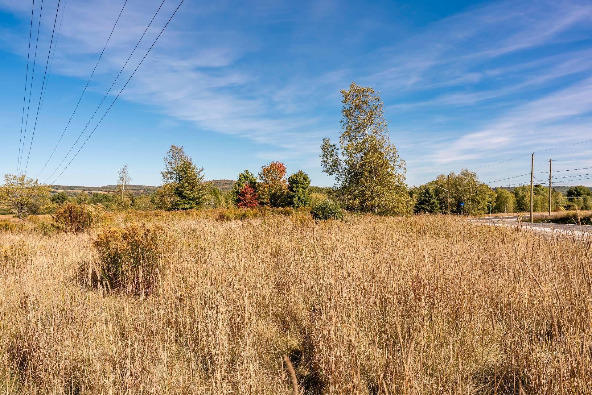 












Rue Étienne-Desmarteau

,
Sherbrooke (Brompton/Rock Forest/Saint-Élie/Deauville),







QC
J1C0X5

