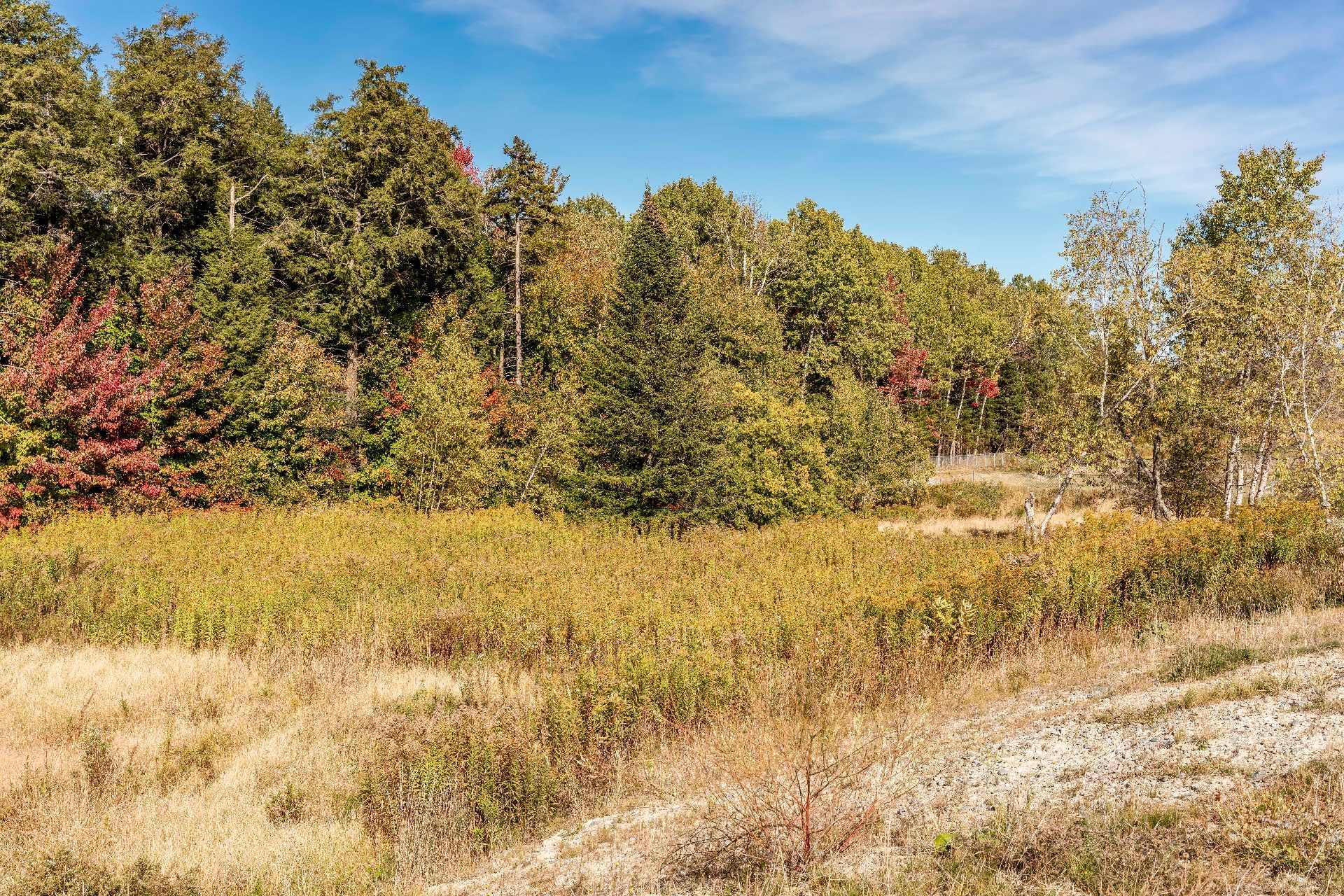 












Rue Étienne-Desmarteau

,
Sherbrooke (Brompton/Rock Forest/Saint-Élie/Deauville),







QC
J1C0X5


