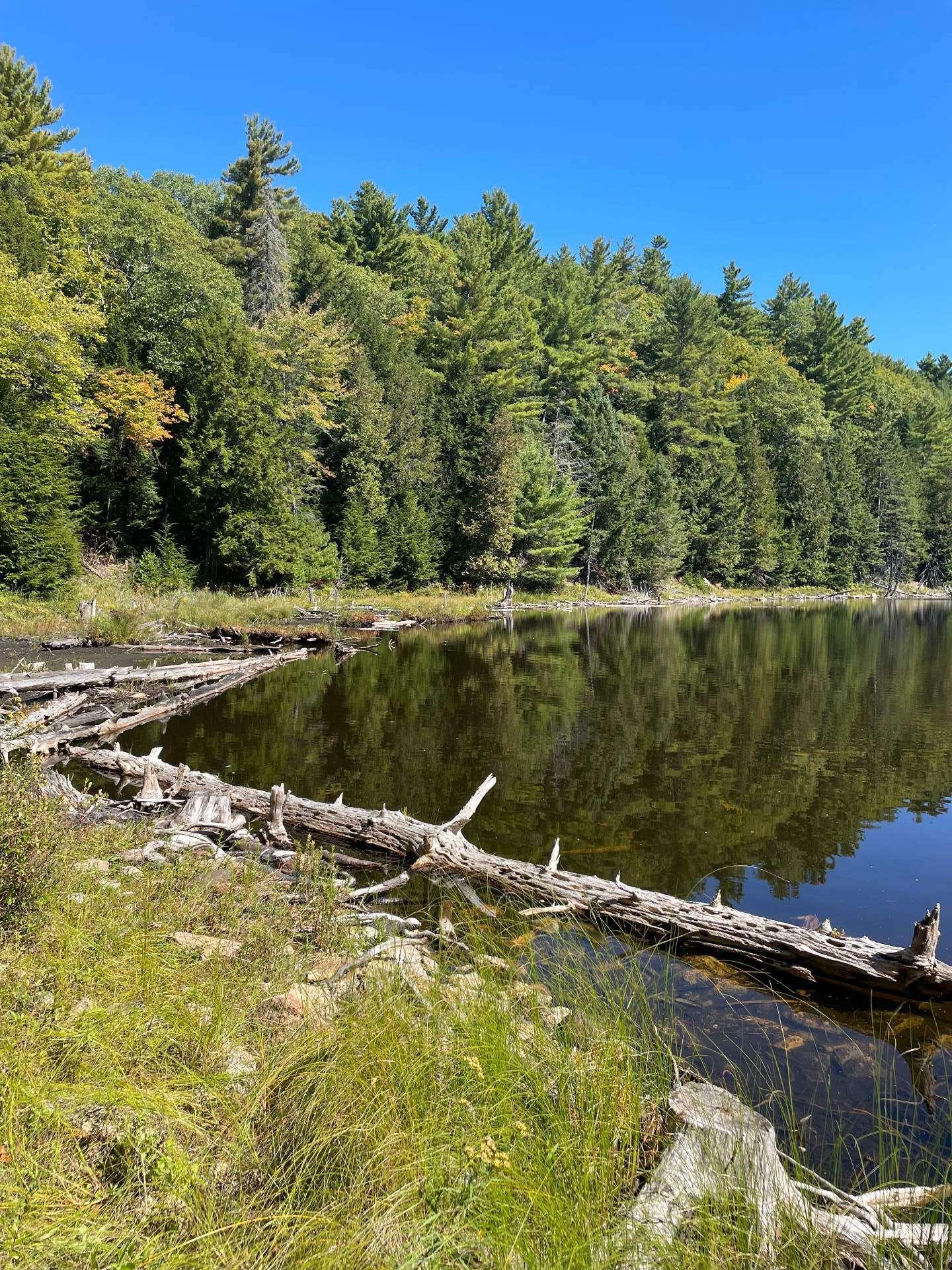 









30Z


Ch. des Cavernes

,
Cantley,







QC
J8V3H6

