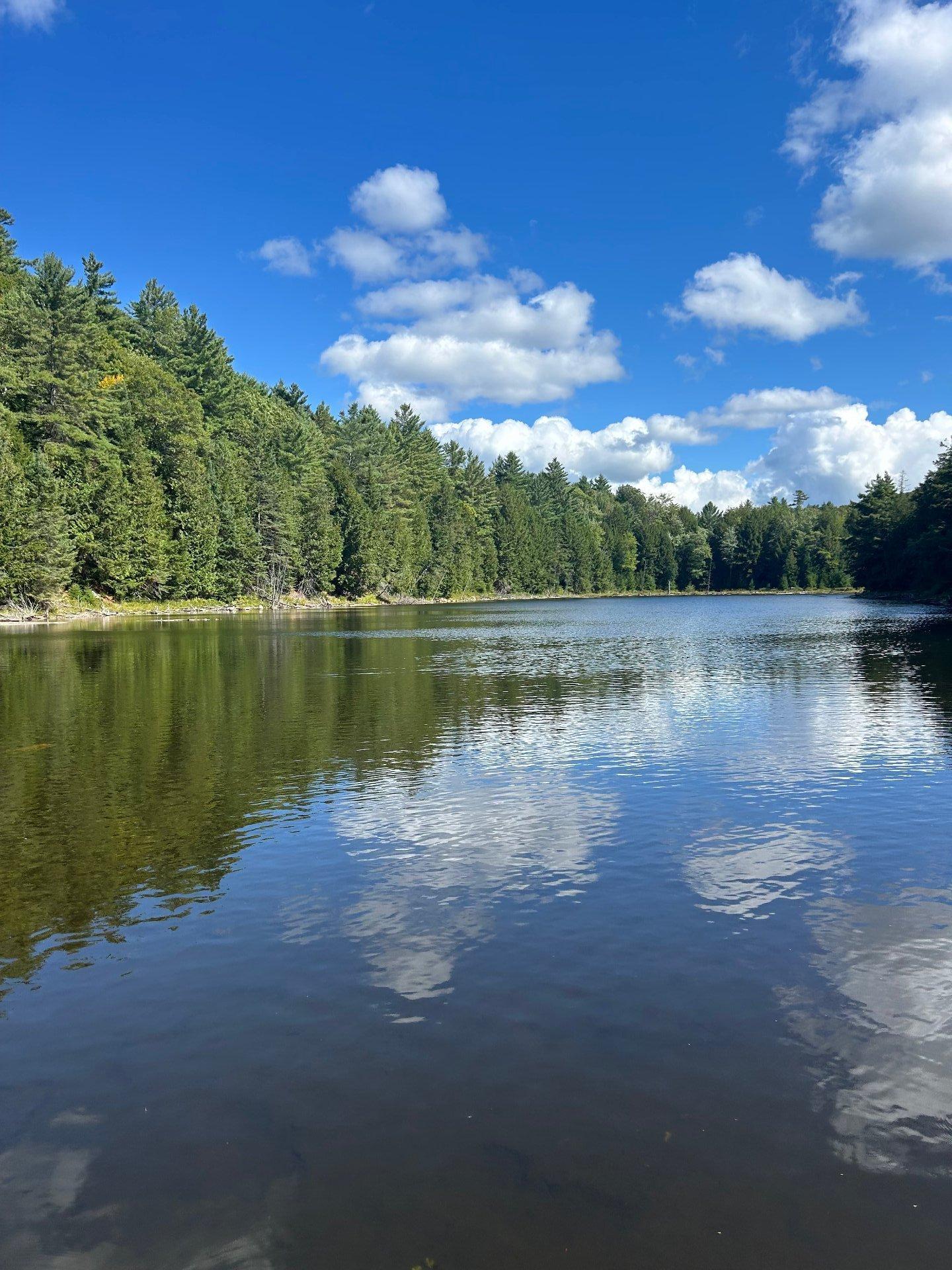 









30Z


Ch. des Cavernes

,
Cantley,







QC
J8V3H6

