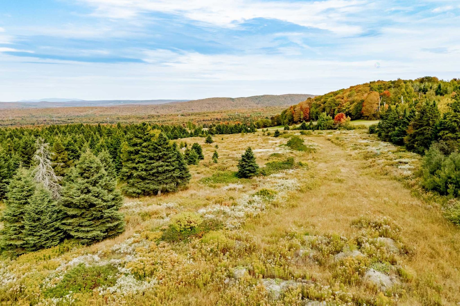 









1000


10e Rang

,
Saint-Herménégilde,




QC
J0B2W0

