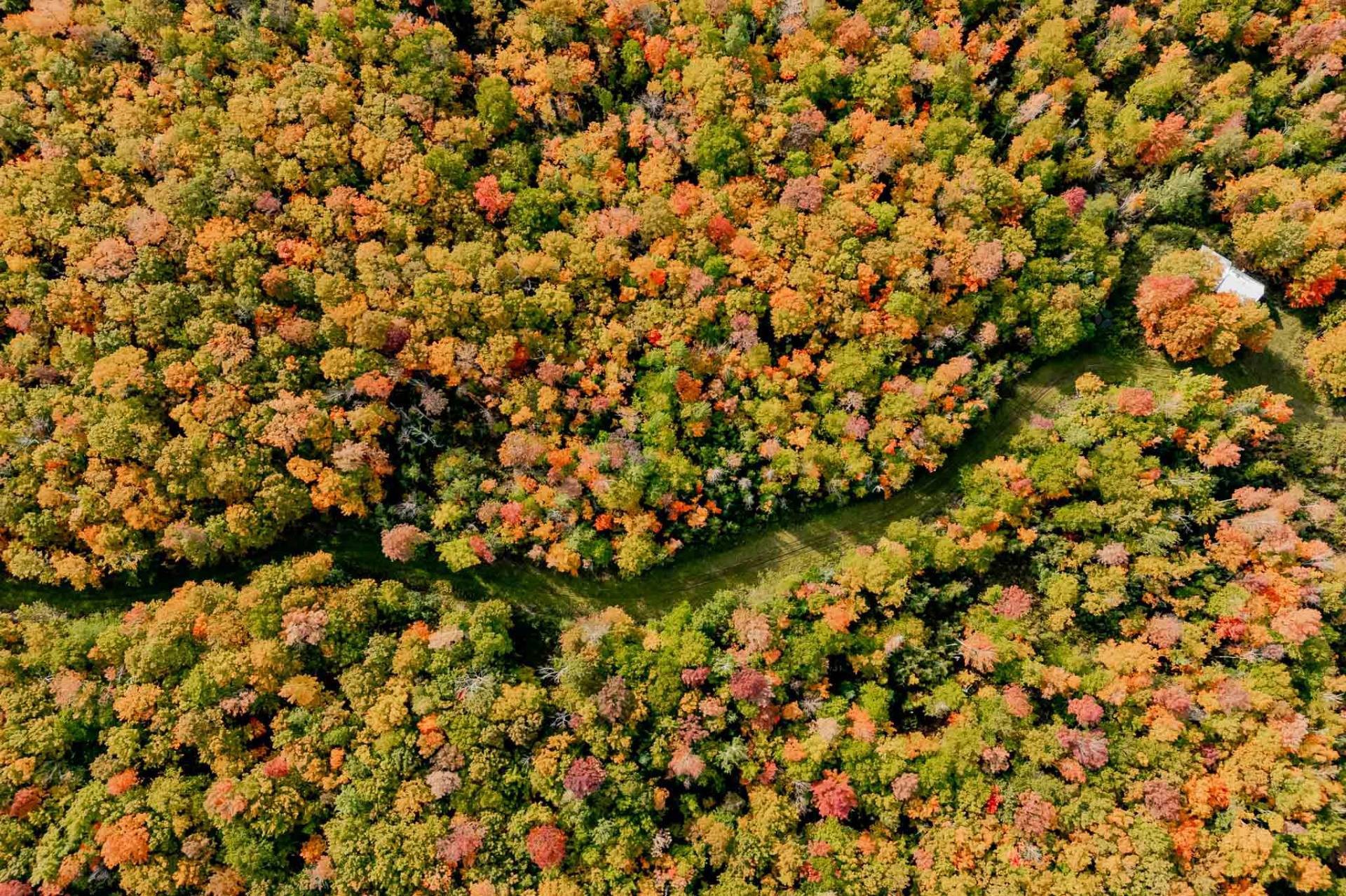









1000


10e Rang

,
Saint-Herménégilde,




QC
J0B2W0

