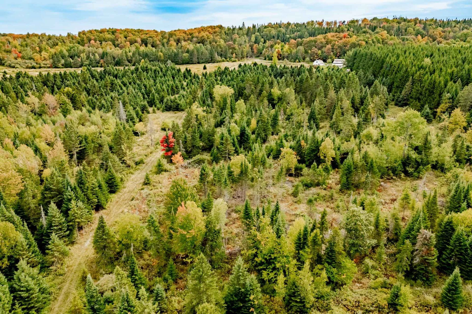 









1000


10e Rang

,
Saint-Herménégilde,




QC
J0B2W0

