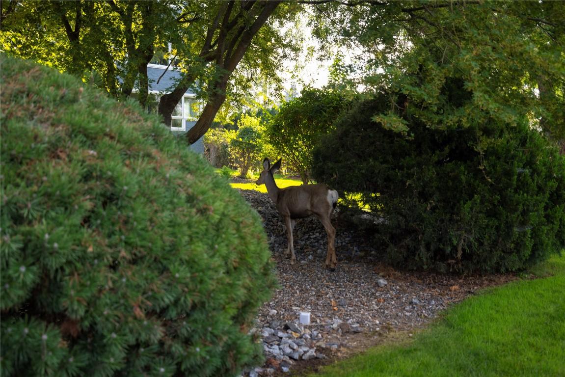 









1045


Sutherland

Avenue, 115B,
Kelowna,




BC
V1Y 5Y1

