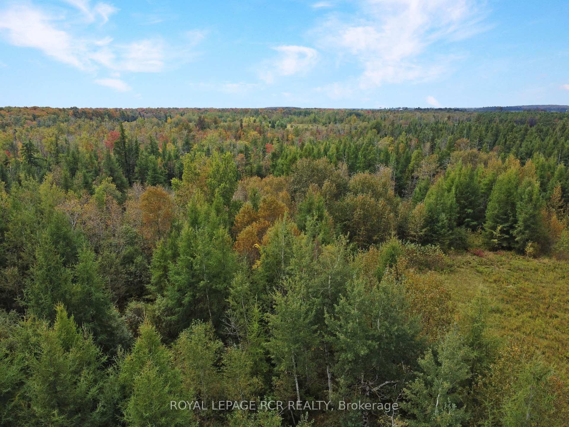 









1125XX


GREY ROAD 14

Road,
Southgate,







ON
N0C 1B0

