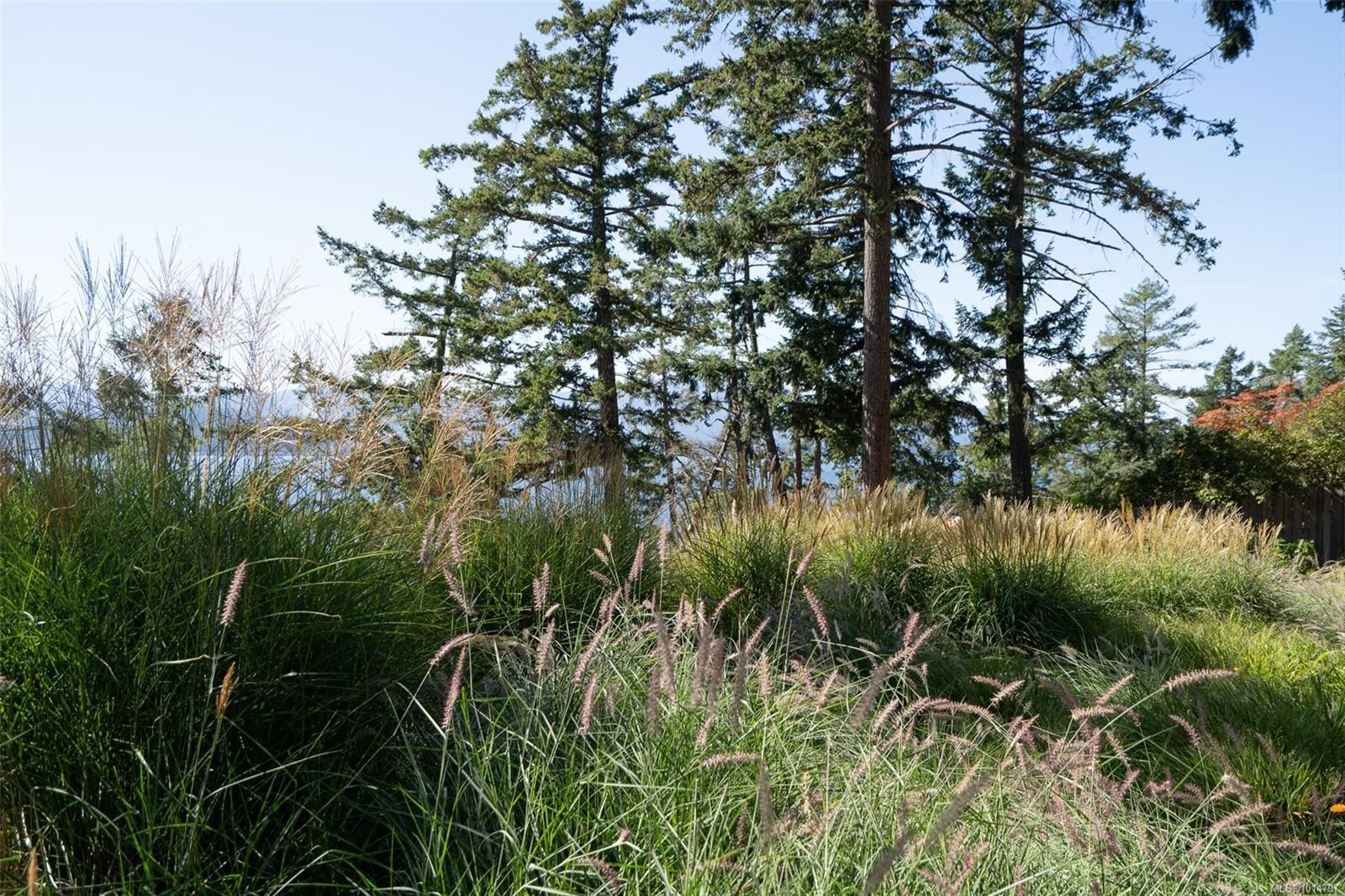 









124


Margaret

Ave,
Salt Spring,




BC
V8K 1H4

