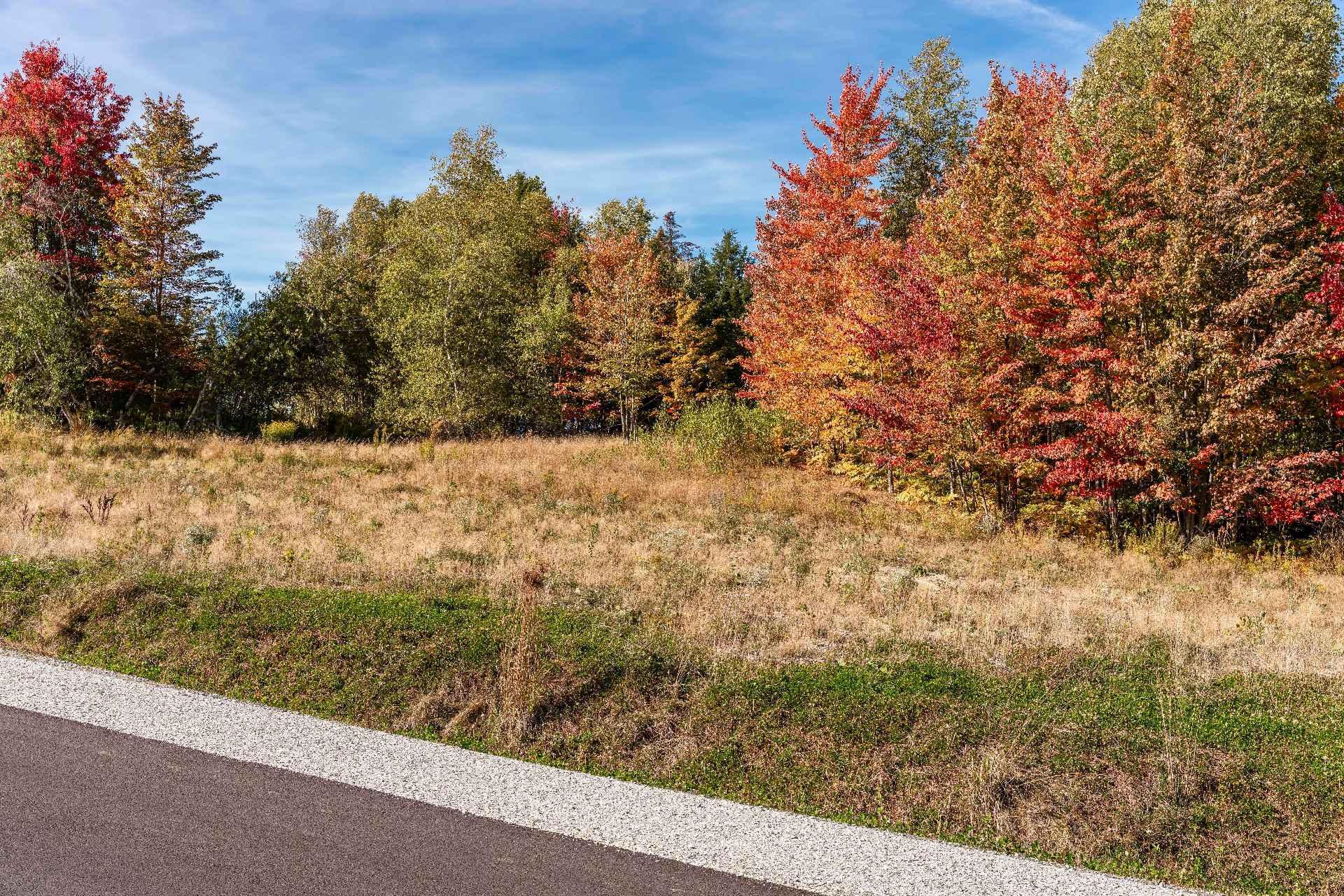 












Rue Étienne-Desmarteau

,
Sherbrooke (Brompton/Rock Forest/Saint-Élie/Deauville),







QC
J1C0X5

