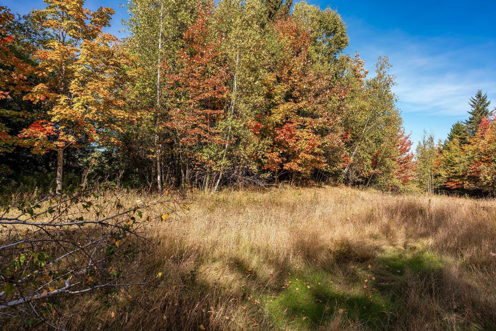 












Rue Étienne-Desmarteau

,
Sherbrooke (Brompton/Rock Forest/Saint-Élie/Deauville),







QC
J1C0X5

