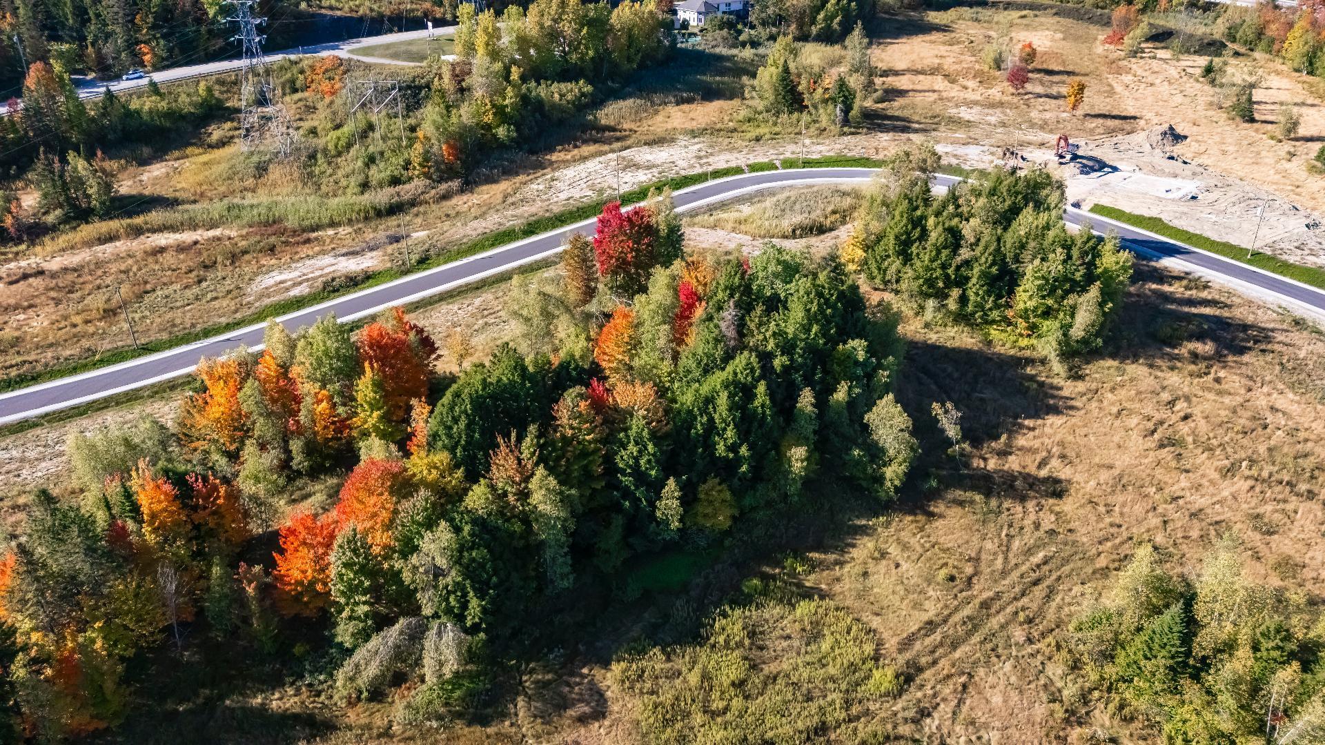 












Rue Étienne-Desmarteau

,
Sherbrooke (Brompton/Rock Forest/Saint-Élie/Deauville),







QC
J1C0X5

