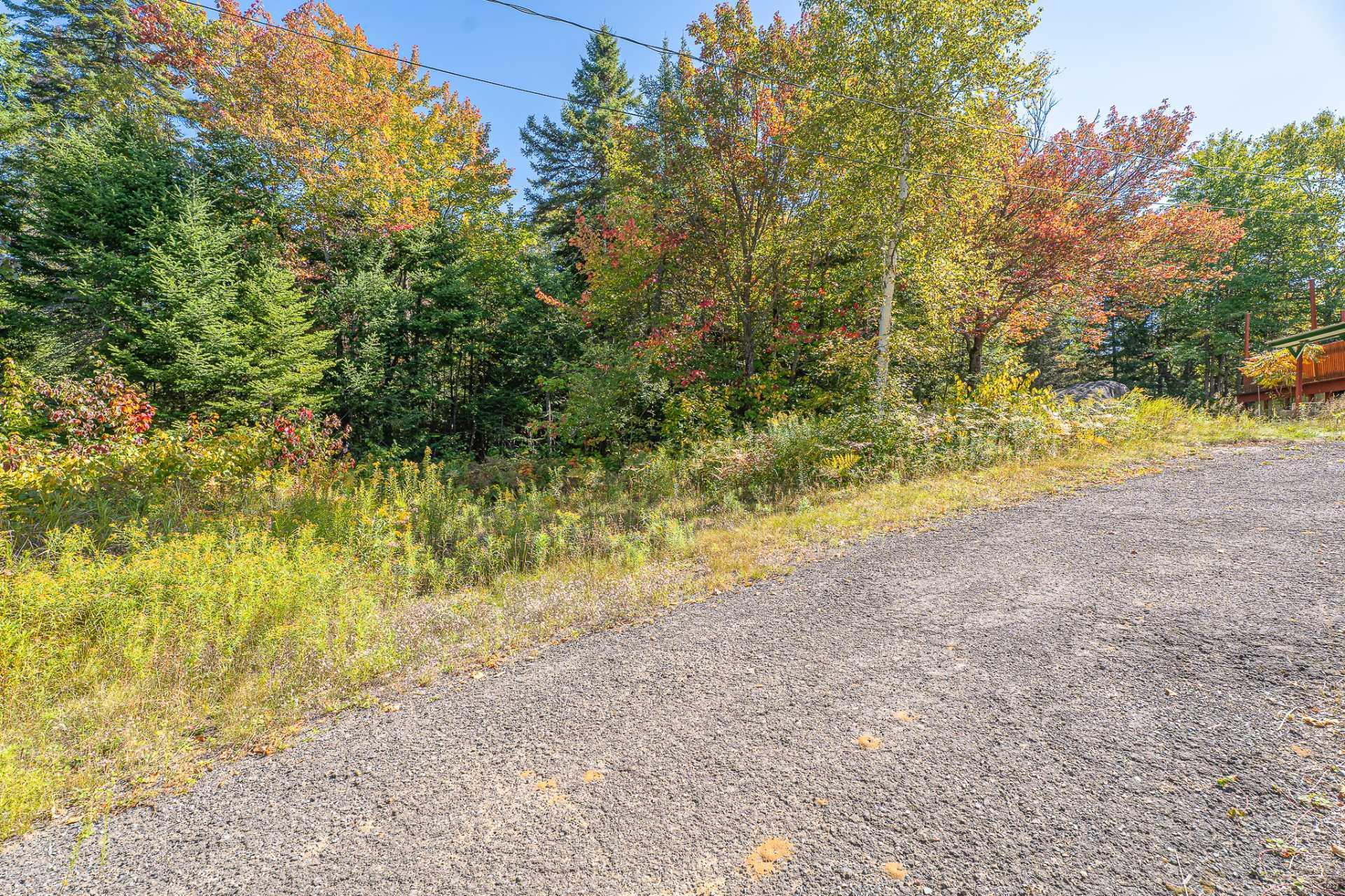 









1996


Av. J.-C.-Cloutier

,
Sainte-Lucie-des-Laurentides,




QC
J0T2J0

