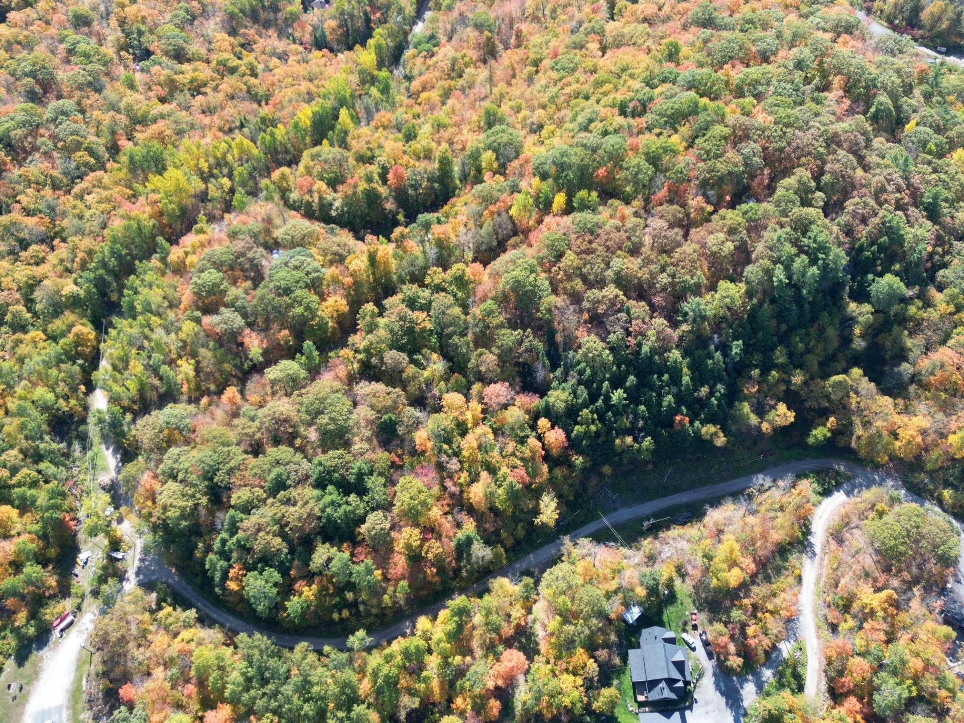 









24


Ch. du Mica

,
Val-des-Monts,







QC
J8N6B2

