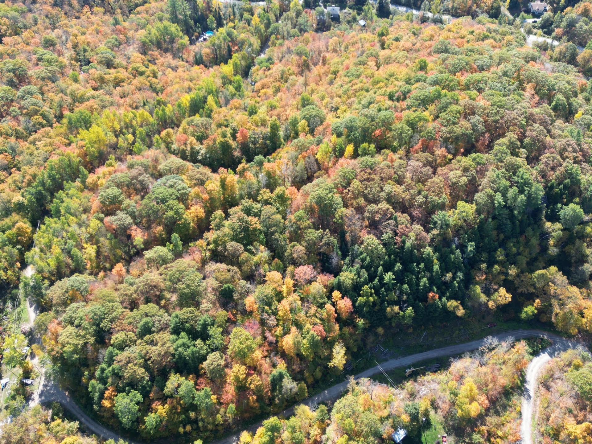









24


Ch. du Mica

,
Val-des-Monts,







QC
J8N6B2

