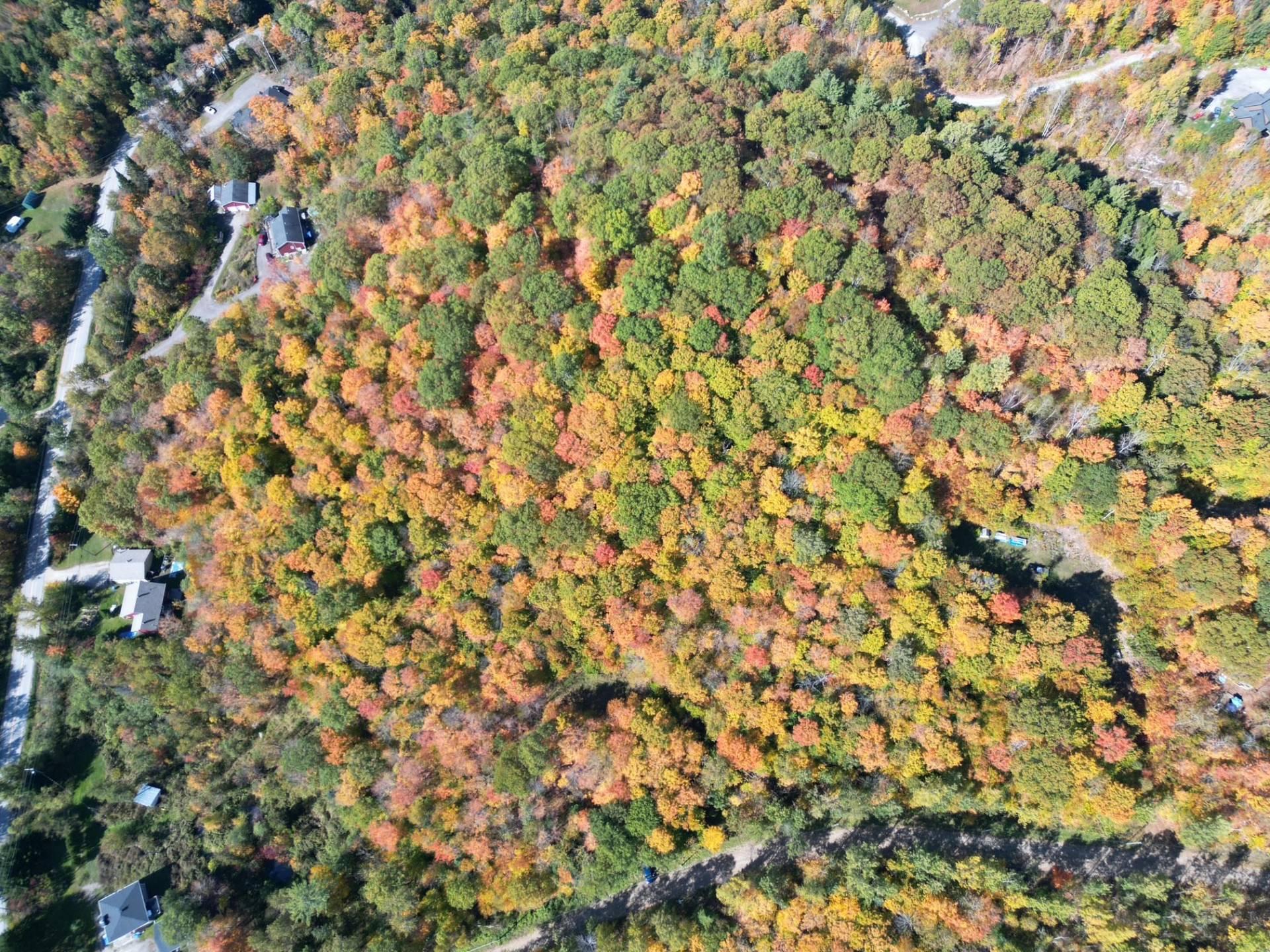 









24


Ch. du Mica

,
Val-des-Monts,







QC
J8N6B2

